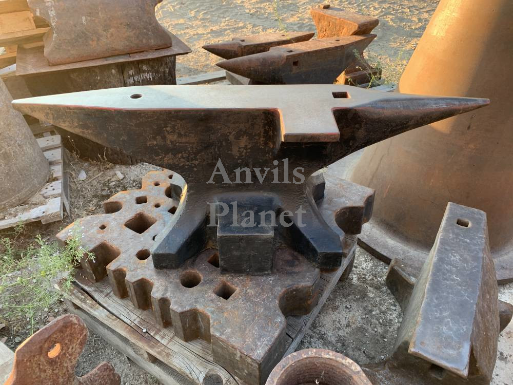 SOLD JOHN - WONDERFUL LARGE 439 lbs KOHLSWA B34 199 WITH SIDE WING